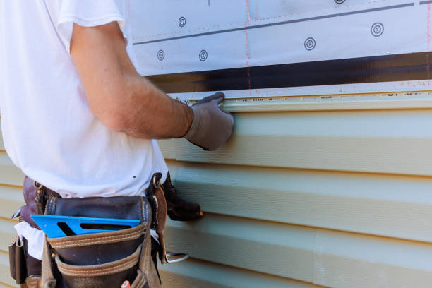 Affordable Siding Replacement solutions in East Springfield, OH